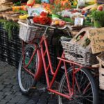 best food for endurance cycling